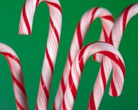Lots of candy canes
